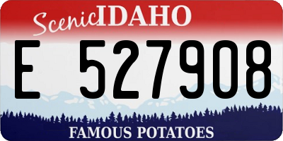 ID license plate E527908