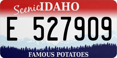 ID license plate E527909