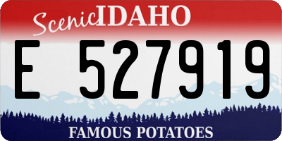 ID license plate E527919