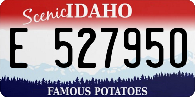 ID license plate E527950