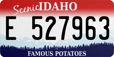 ID license plate E527963