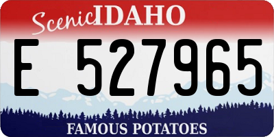 ID license plate E527965