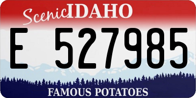 ID license plate E527985