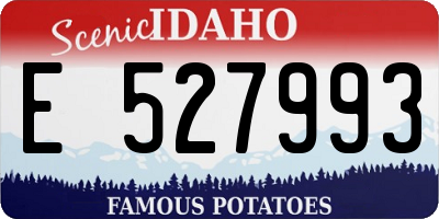 ID license plate E527993