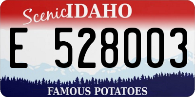 ID license plate E528003