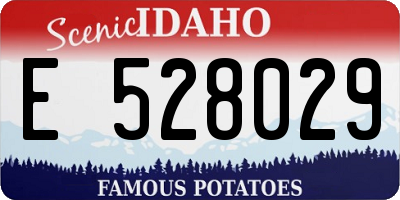 ID license plate E528029