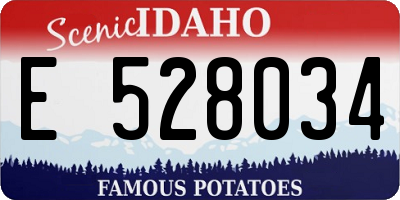 ID license plate E528034