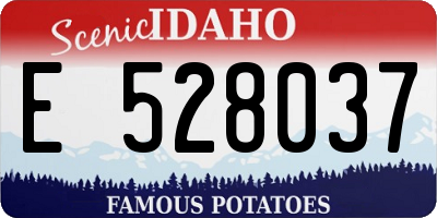 ID license plate E528037