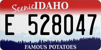 ID license plate E528047