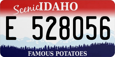 ID license plate E528056