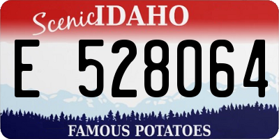 ID license plate E528064