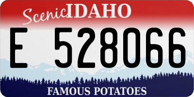 ID license plate E528066