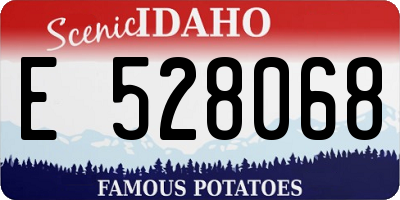 ID license plate E528068