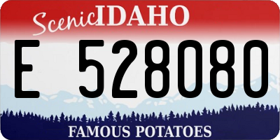 ID license plate E528080