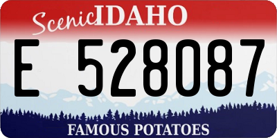 ID license plate E528087