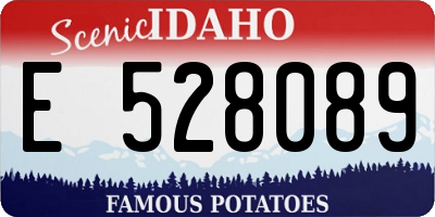 ID license plate E528089