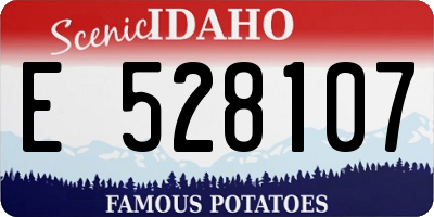 ID license plate E528107