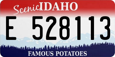 ID license plate E528113