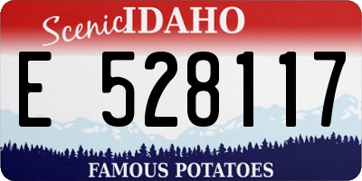 ID license plate E528117