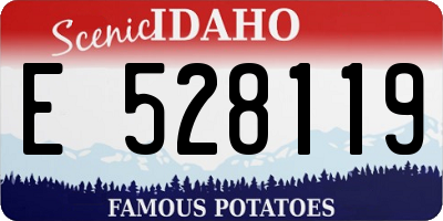 ID license plate E528119