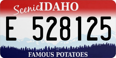 ID license plate E528125