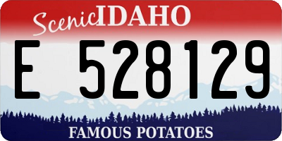 ID license plate E528129