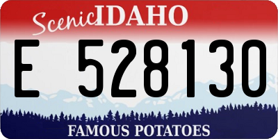 ID license plate E528130