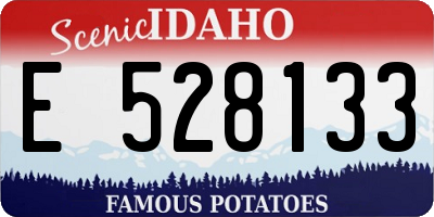 ID license plate E528133
