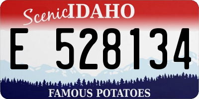 ID license plate E528134