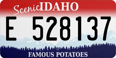 ID license plate E528137
