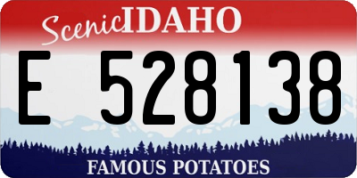 ID license plate E528138
