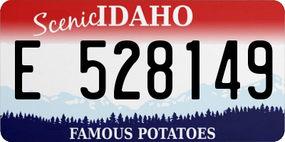 ID license plate E528149