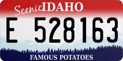 ID license plate E528163