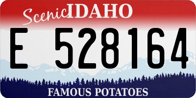 ID license plate E528164