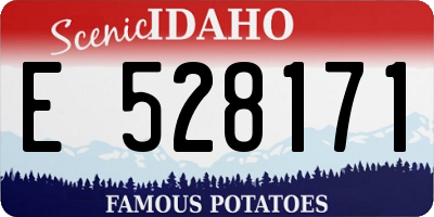 ID license plate E528171
