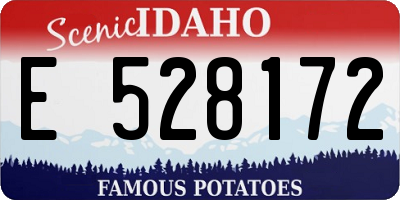ID license plate E528172