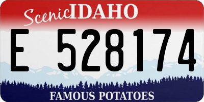 ID license plate E528174