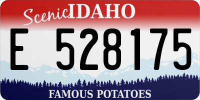 ID license plate E528175