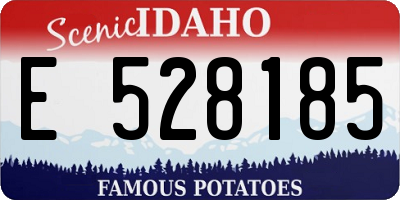 ID license plate E528185
