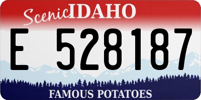 ID license plate E528187