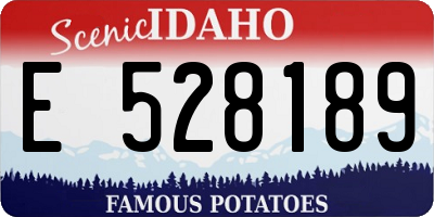 ID license plate E528189