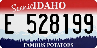 ID license plate E528199