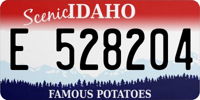 ID license plate E528204