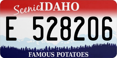 ID license plate E528206