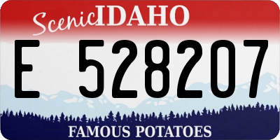 ID license plate E528207