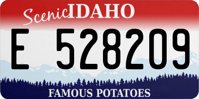 ID license plate E528209