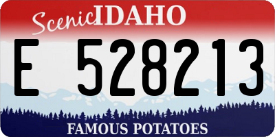 ID license plate E528213