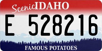 ID license plate E528216