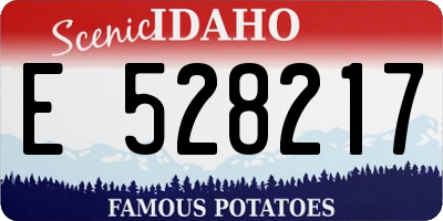 ID license plate E528217