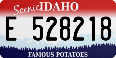 ID license plate E528218